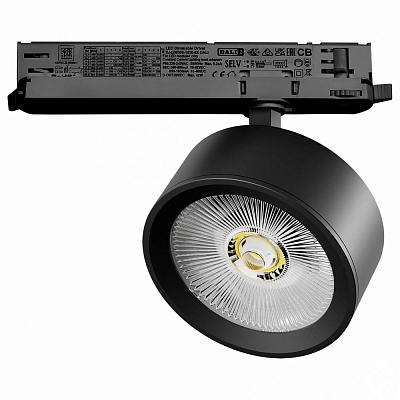 Светильник на штанге Lightstar Alta Pro A5647DALI 400_400_3088328
